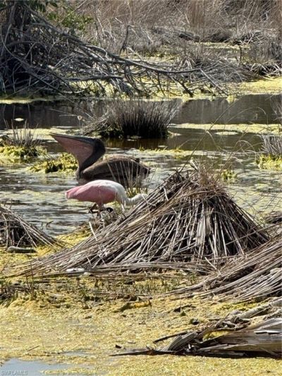 9247 Dimmick Dr , Sanibel, FL 33957 Photo