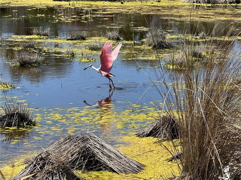 9247 Dimmick Dr , Sanibel, FL 33957 Photo