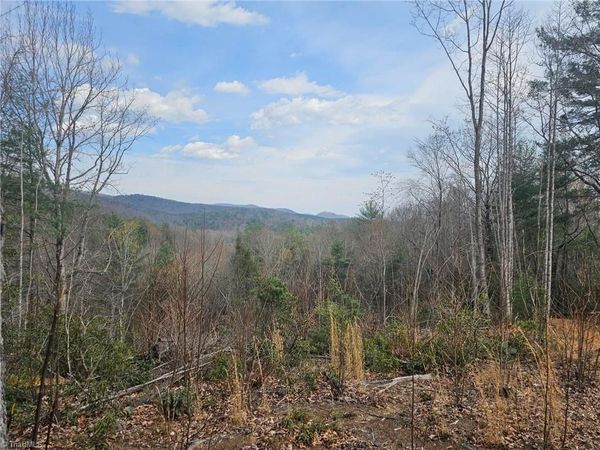 Lot 2 Widow Mountain Drive , McGrady, NC 28635