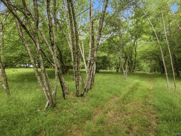 California Avenue, Liberty, NY 12754