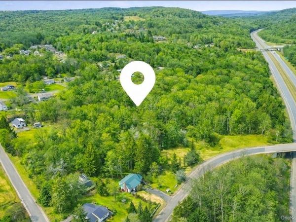 California Avenue , Liberty, NY 12754