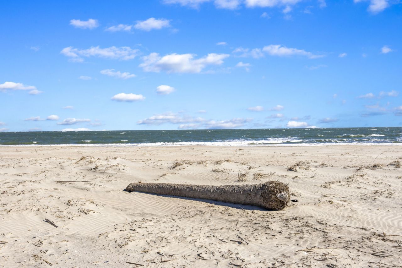 7000 Palmetto Drive Photo 23