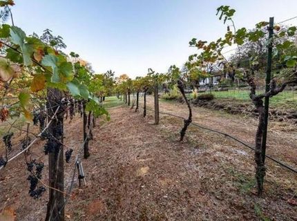 22801 Hidden Ranch Rd, Auburn, CA 95602 Photo