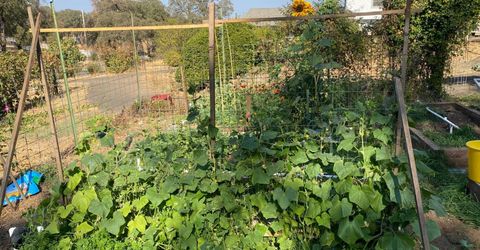 22801 Hidden Ranch Rd, Auburn, CA 95602 Photo