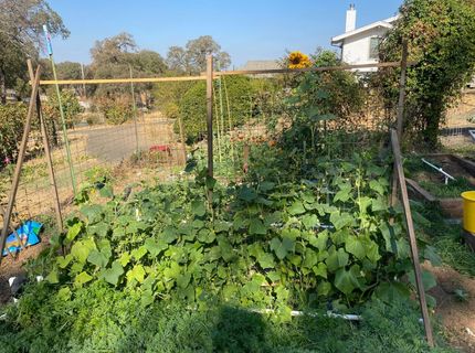 22801 Hidden Ranch Rd, Auburn, CA 95602 Photo