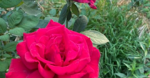 22801 Hidden Ranch Rd, Auburn, CA 95602 Photo