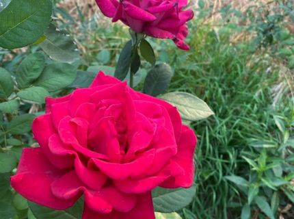 22801 Hidden Ranch Rd, Auburn, CA 95602 Photo