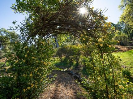 22801 Hidden Ranch Rd, Auburn, CA 95602 Photo