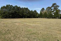 100 Ole Nobleman Ct. photo 4