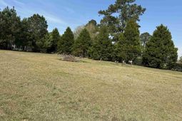 100 Ole Nobleman Ct. photo 4