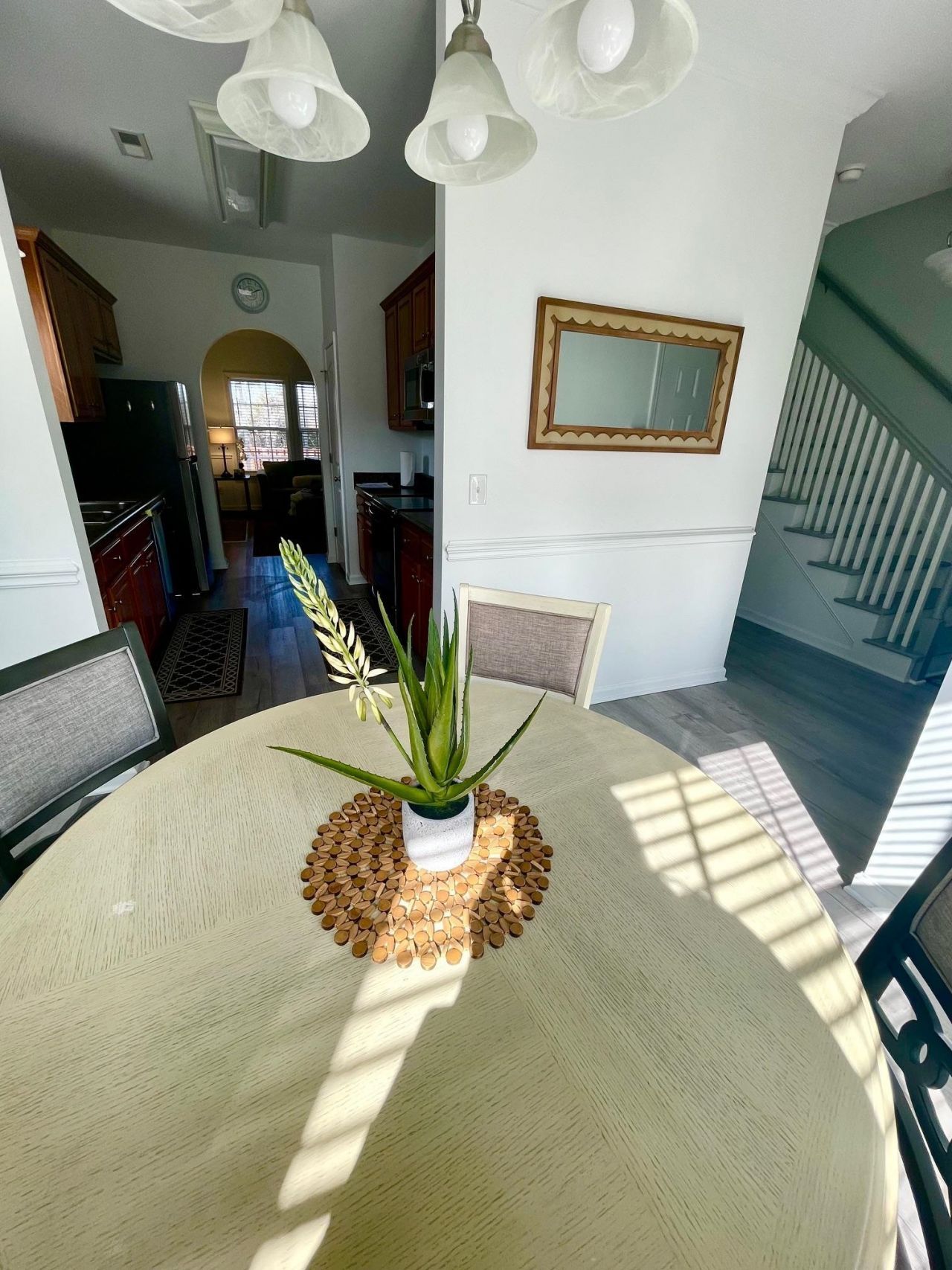 1698 Low Country Pl. Photo 13