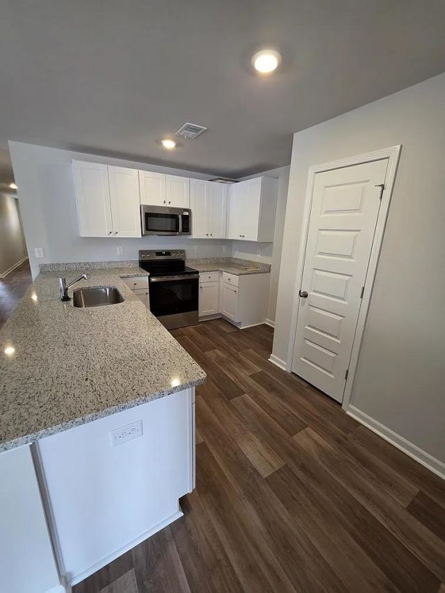 532 Runaway Train Dr Photo 4