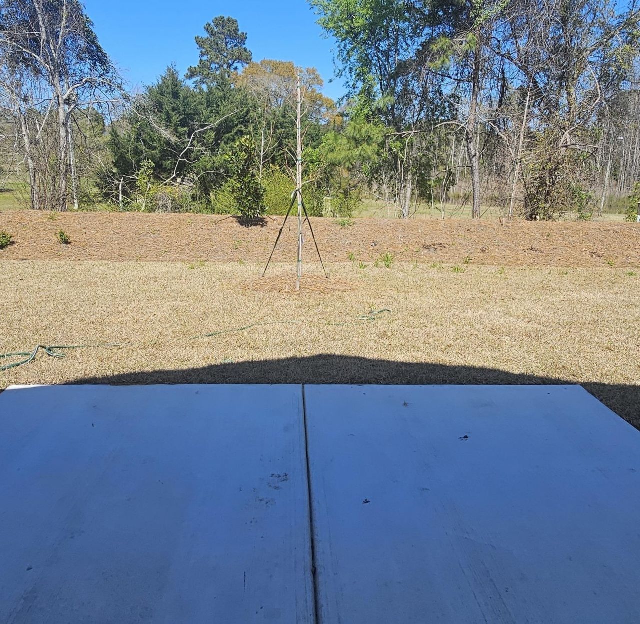 337 Sweet Vernal St Photo 37