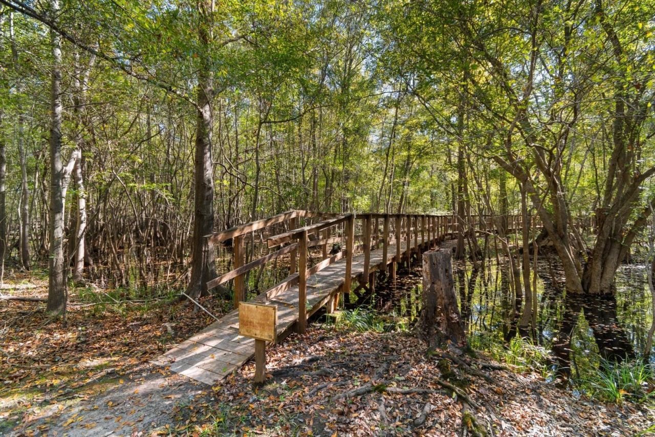 881 Rowe Pond Rd. Photo 28