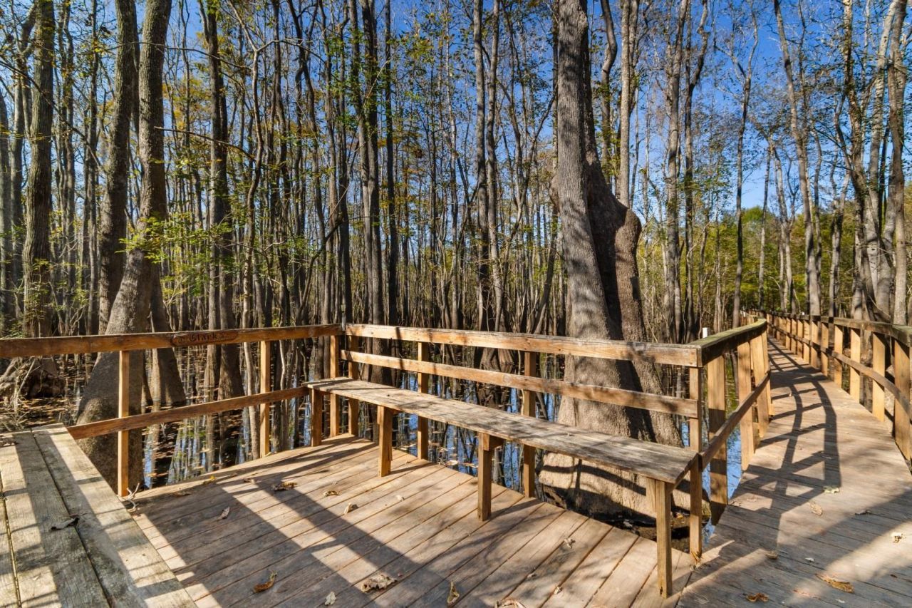 881 Rowe Pond Rd. Photo 29