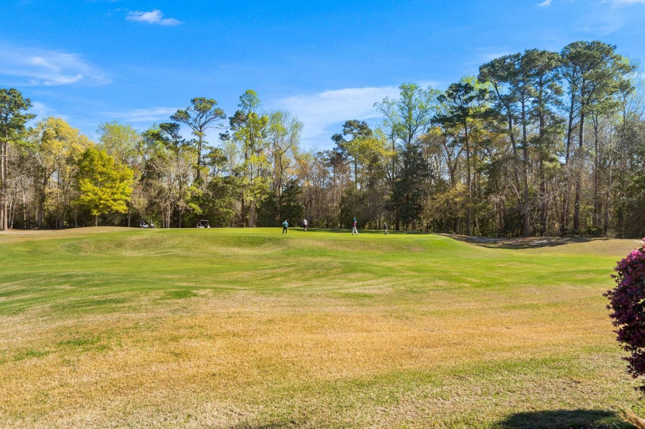 4660 Fringetree Dr. Photo 22