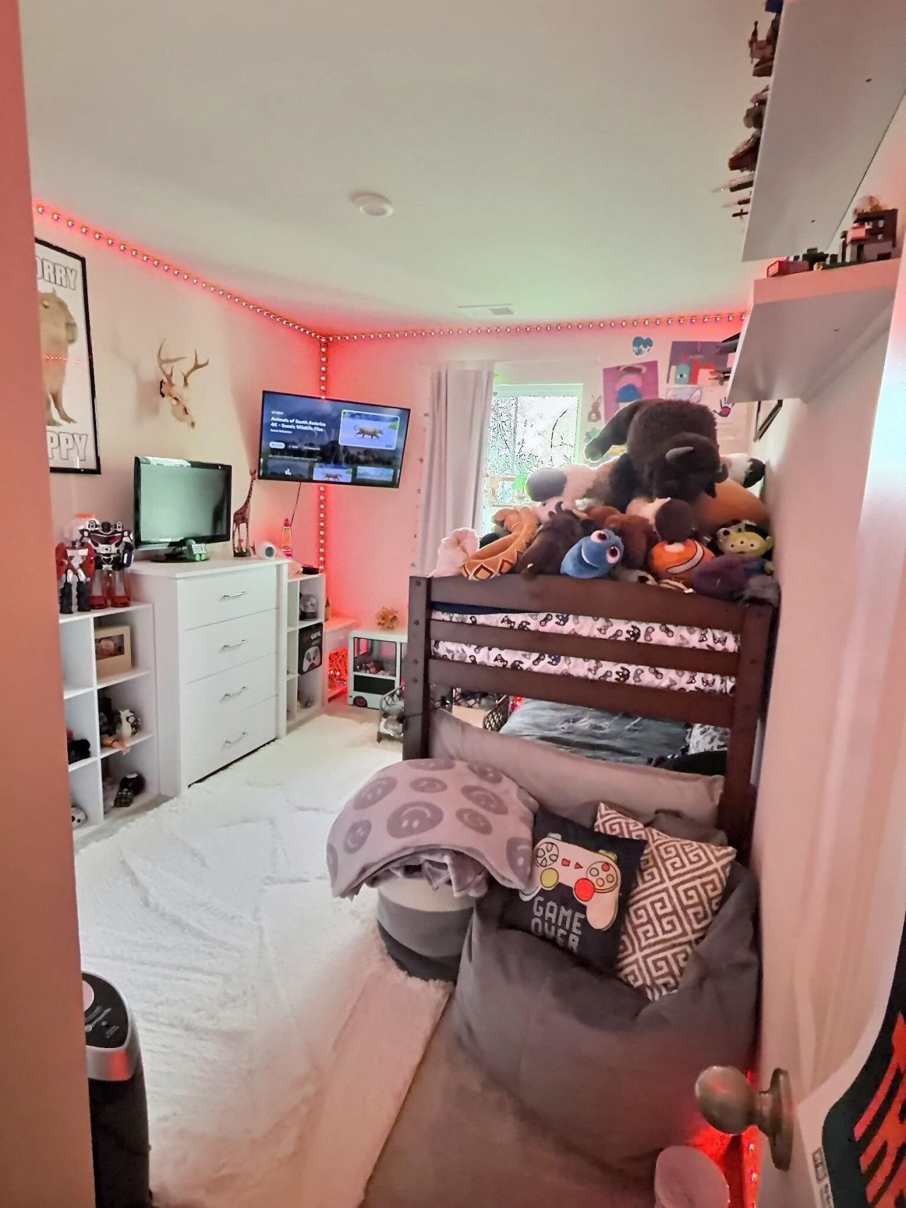 608 Montenegro Way Photo 24