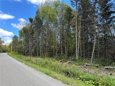 Lot 9 McAndrews Rd, Andover, NY 14806