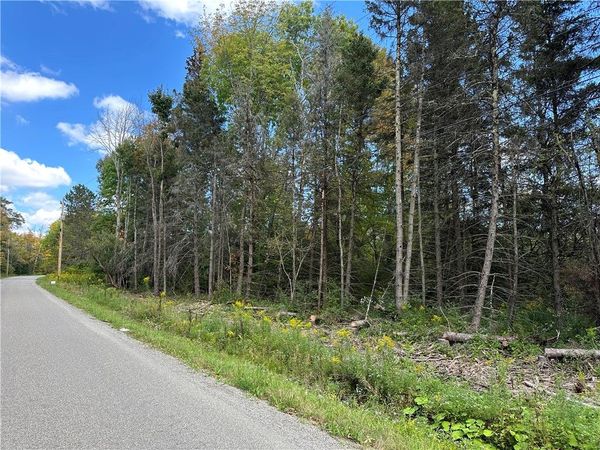 Lot 9 McAndrews Rd, Andover, NY 14806