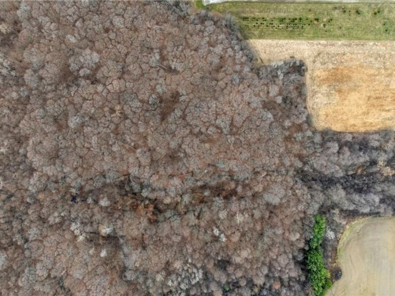 Nichols Road , Windham, OH 44288 Photo 4