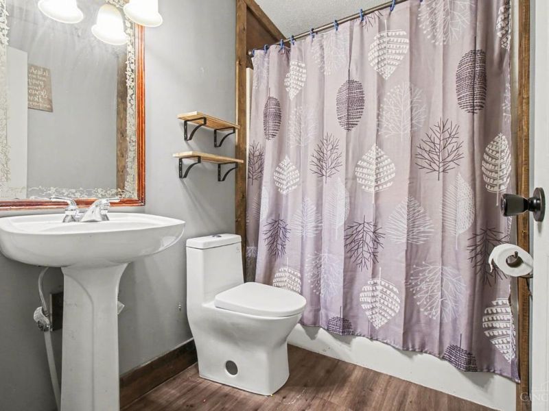 1703 Swings Corner Pt Isab Road, Bethel, OH 45106 Photo 11