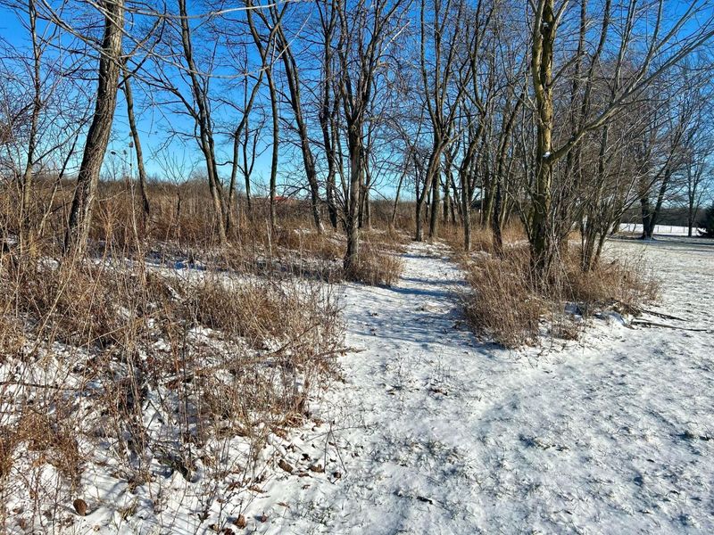 8384 County Road 101 , Belle Center, OH 43310 Photo 4