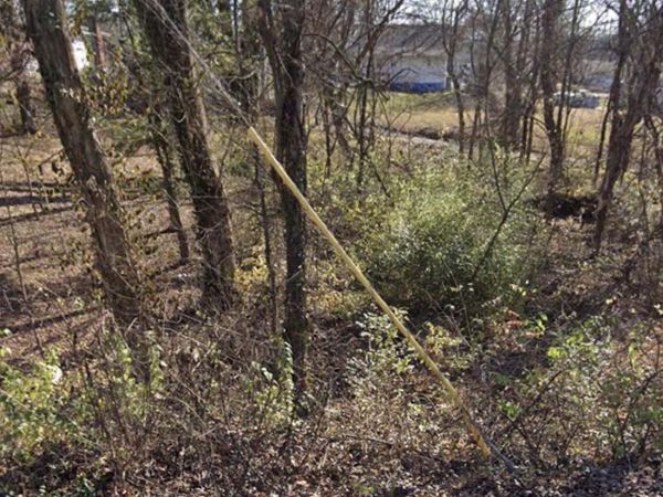 184 Chickamauga Ave, Knoxville, TN 37917