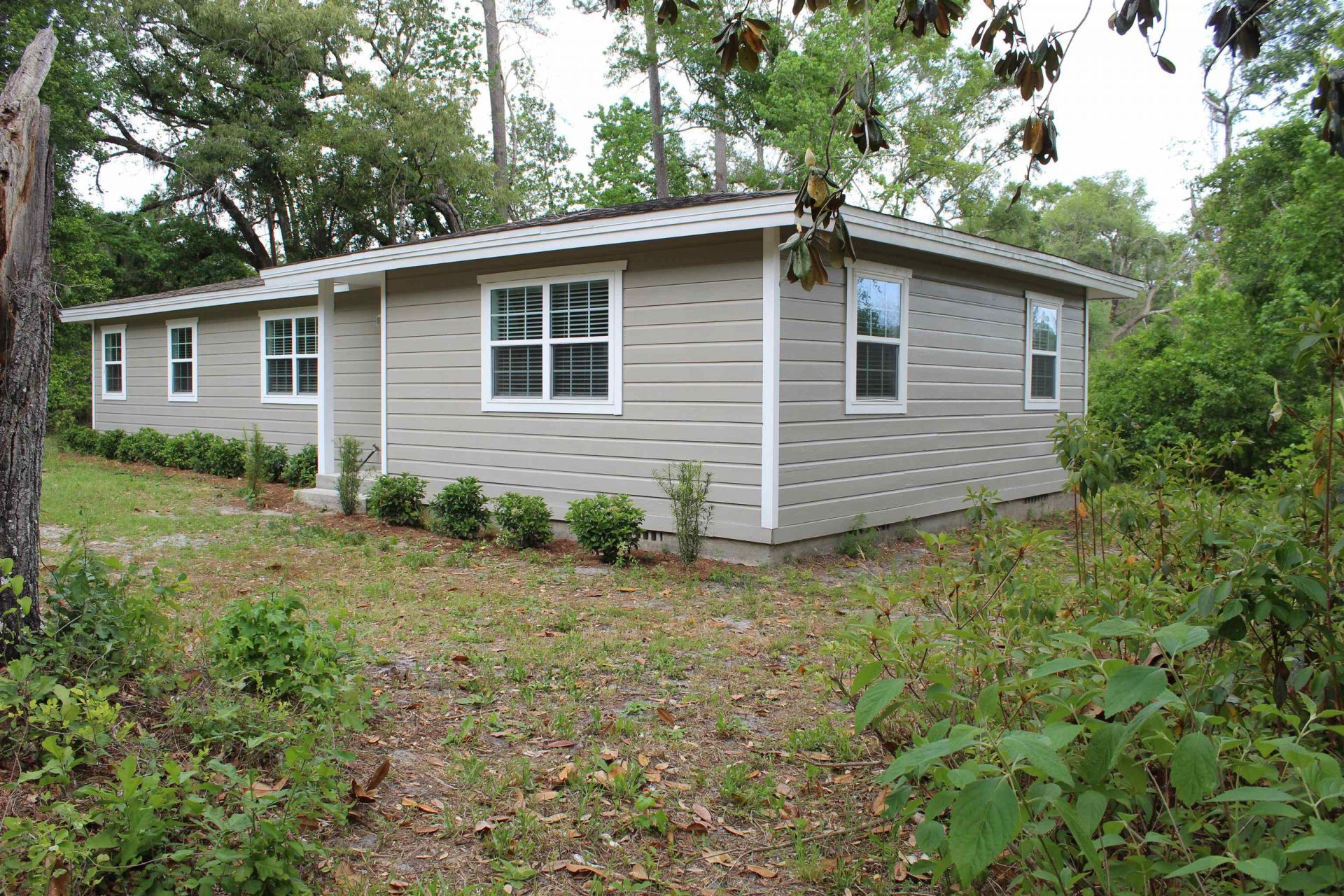 10567 S Salt Road, Lamont, FL 32336 Photo