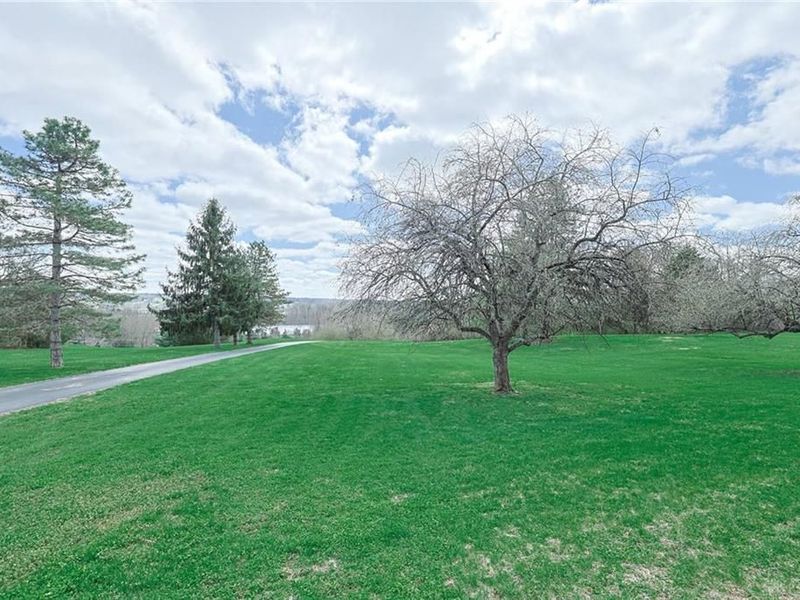 8585 Cedar Hill Road, Waynesville, OH 45068 Photo 9