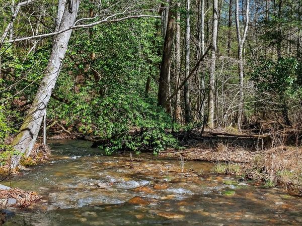 573AC Daus Mountain Rd, Palmer, TN 38365