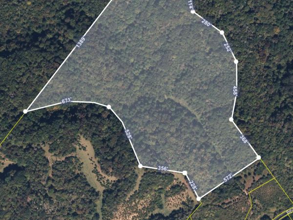 Bear Creek Rd, Bybee, TN 37713