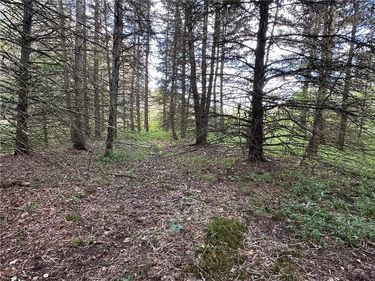 Lot 7 McAndrews Rd, Andover, NY 14806