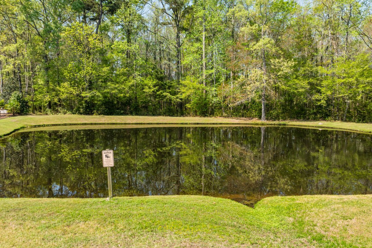 102 Plank Court Photo 36