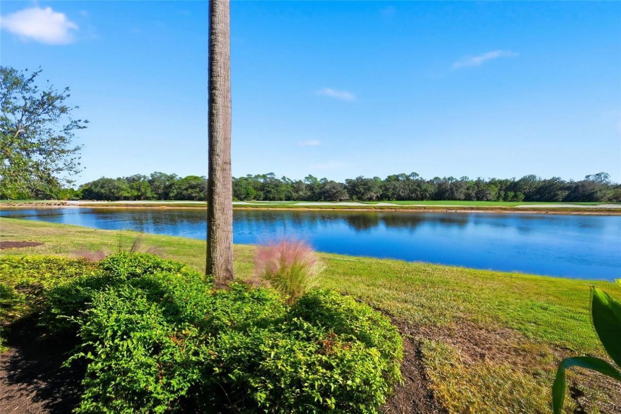 17108 Vardon Terrace, Unit 103, Bradenton, FL 34211 Photo