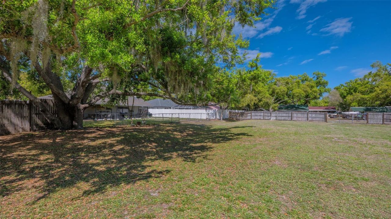 3818 Gocio Road, Sarasota, FL 34235 Photo