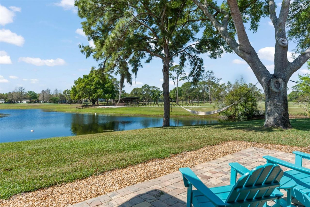 14050 Fairway Willow Lane , Winter Garden, FL 34787 Photo