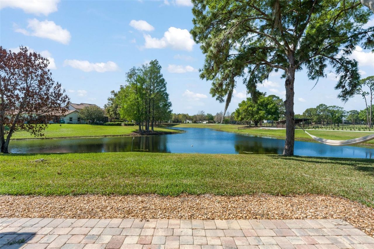 14050 Fairway Willow Lane , Winter Garden, FL 34787 Photo