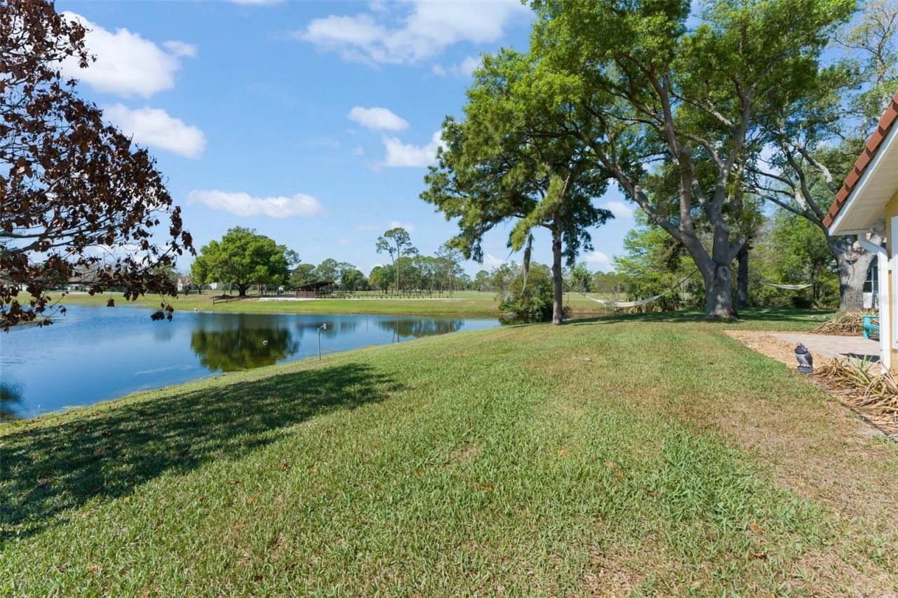 14050 Fairway Willow Lane , Winter Garden, FL 34787 Photo