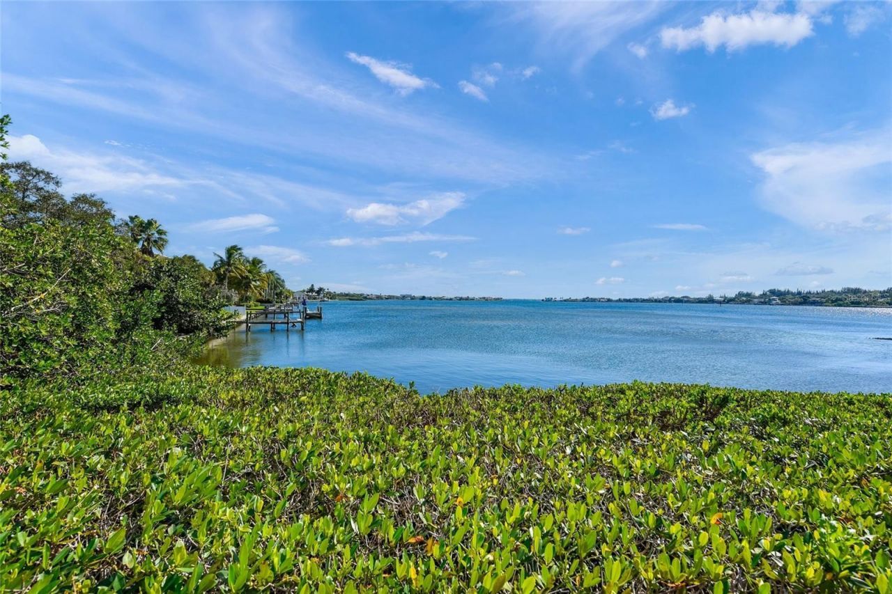 1630 Stickney Point Road , Unit 101, Sarasota, FL 34231 Photo