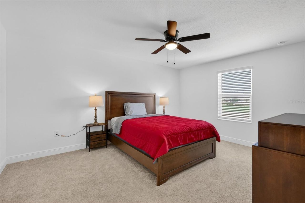 6070 Sierra Crown Street, Mount Dora, FL 32757 Photo