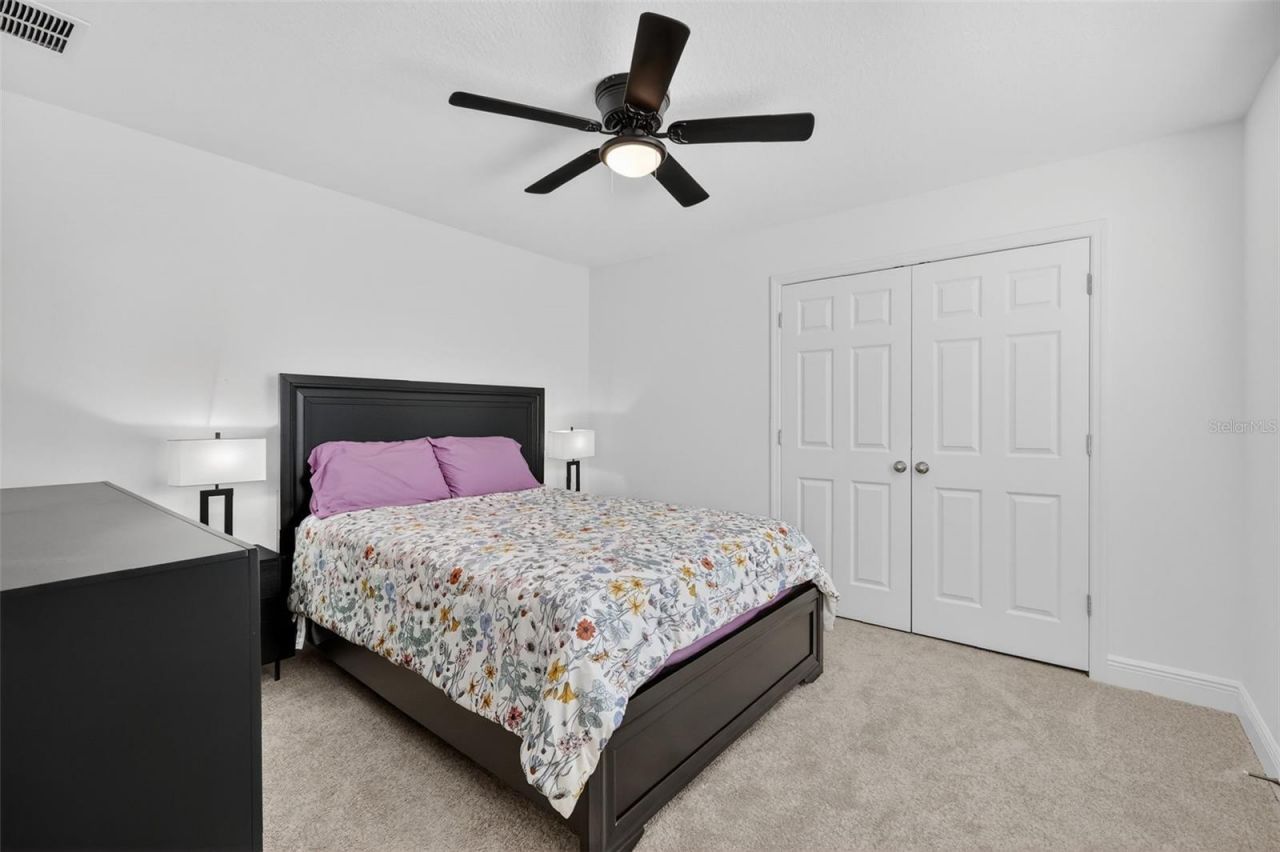 6070 Sierra Crown Street, Mount Dora, FL 32757 Photo