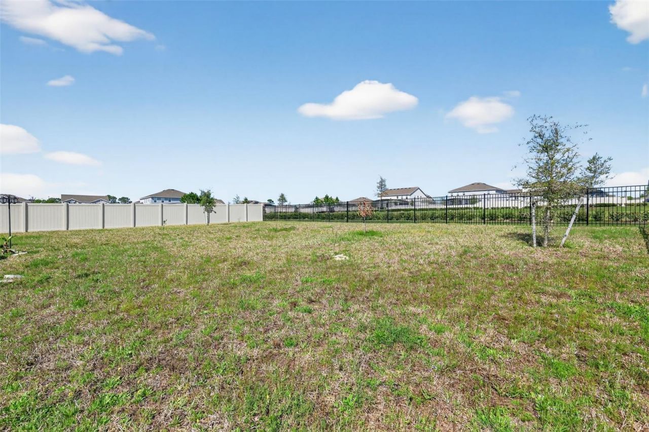 6070 Sierra Crown Street, Mount Dora, FL 32757 Photo