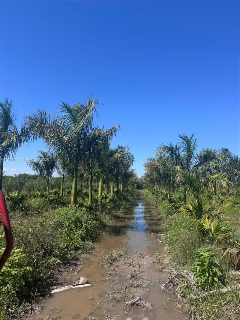 122 Ave SW 330 St, Homestead, FL 33035 Photo