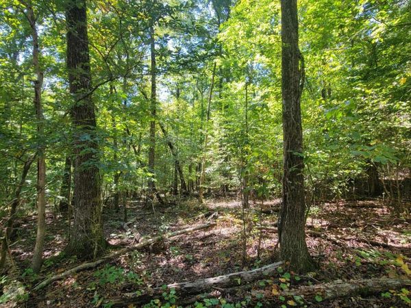 0 Fire Tower Road, Cleveland, TN 37323