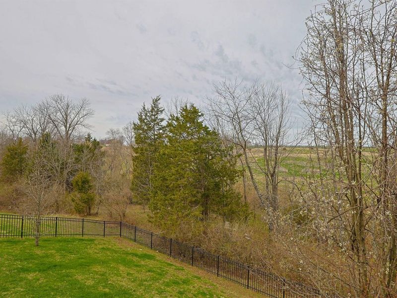 9350 Westfield Lane, Union, KY 41091 Photo 41