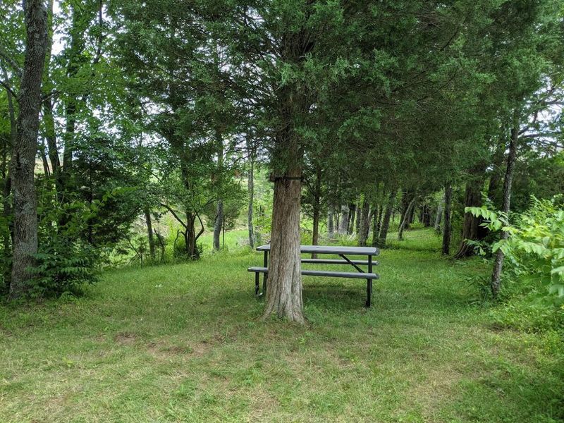 9350 Westfield Lane, Union, KY 41091 Photo 43