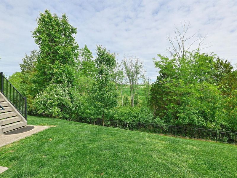 9350 Westfield Lane, Union, KY 41091 Photo 44