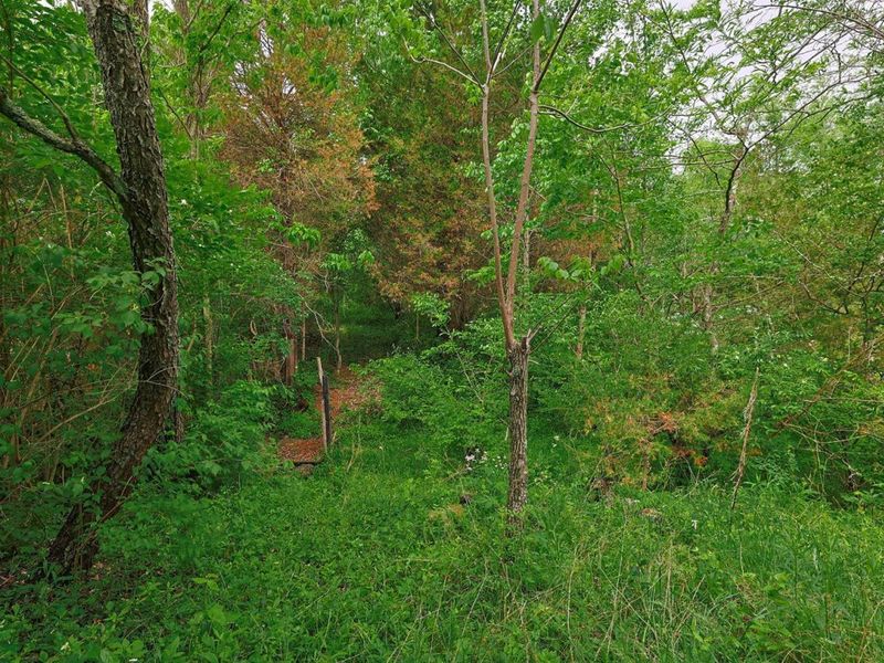 9350 Westfield Lane, Union, KY 41091 Photo 45