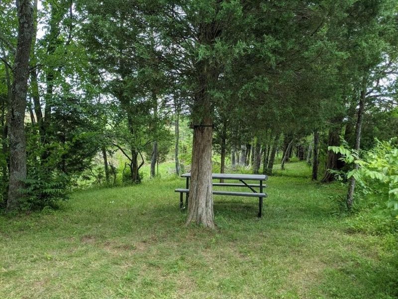 9350 Westfield Lane, Union, KY 41091 Photo 46