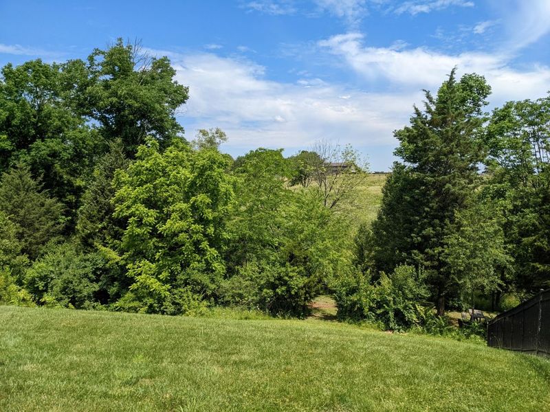 9350 Westfield Lane, Union, KY 41091 Photo 46